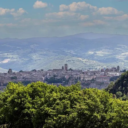 Lussuosa Dell'800 Con Piscina,