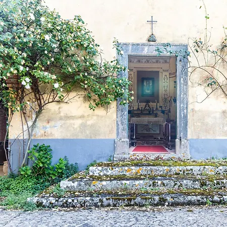 Villa Lussuosa Dell'800 Con Piscina, *